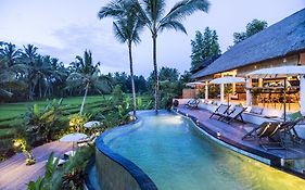 Calma Ubud Suite & Villas - Rice Fields View, Infinity Pool !